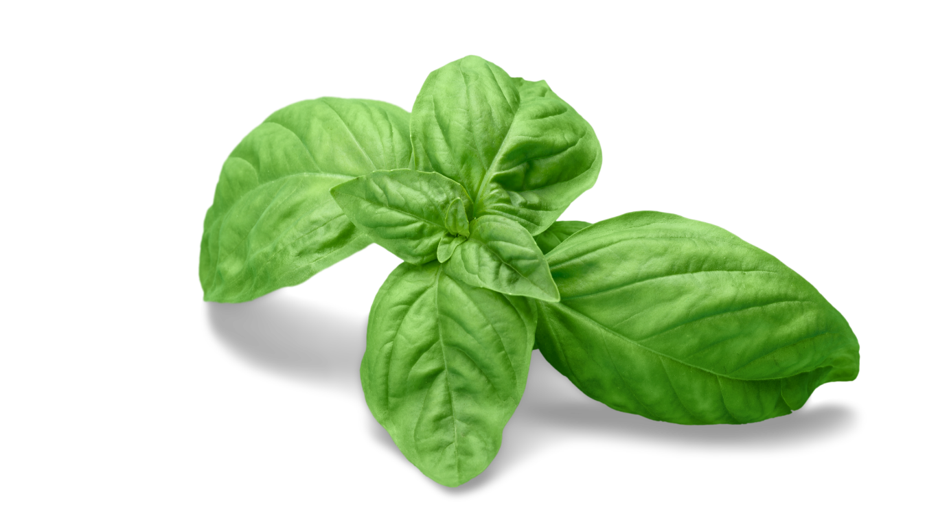 Publication Facebook Citation Photo Rouge 25