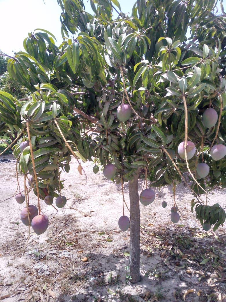 WhatsApp Image 2026 02 04 at 18.03.31