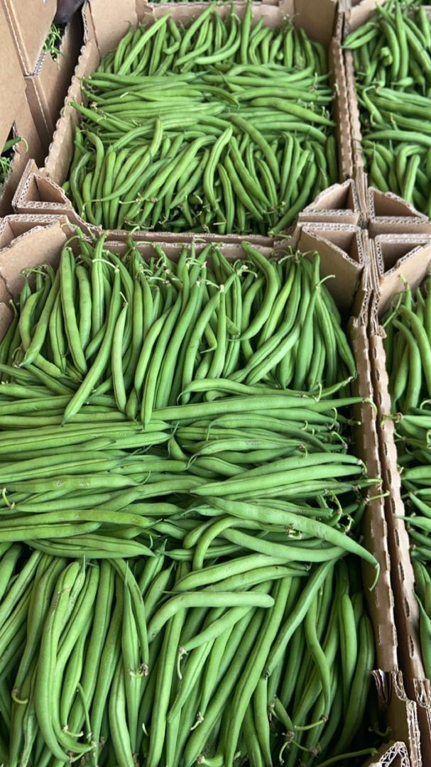 WhatsApp Image 2026 02 04 at 18.06.21 2