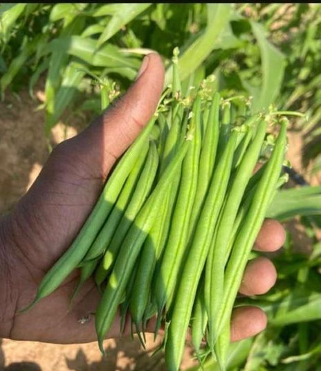 WhatsApp Image 2026 02 23 at 15.14.14