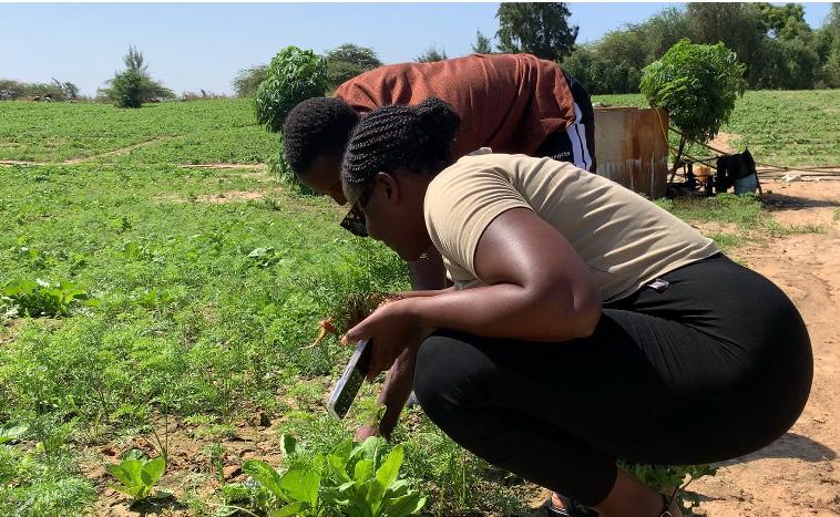 WhatsApp Image 2026 02 25 at 15.36.24