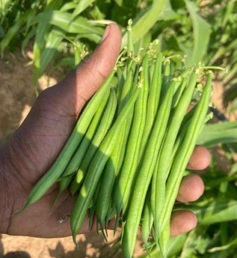 WhatsApp Image 2026 02 25 at 15.52.14