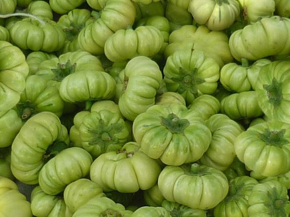 c8aad04bba0d182ed84bf53efb71909c